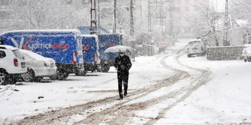 Bitlisliler Kar Yağışına Sevindi