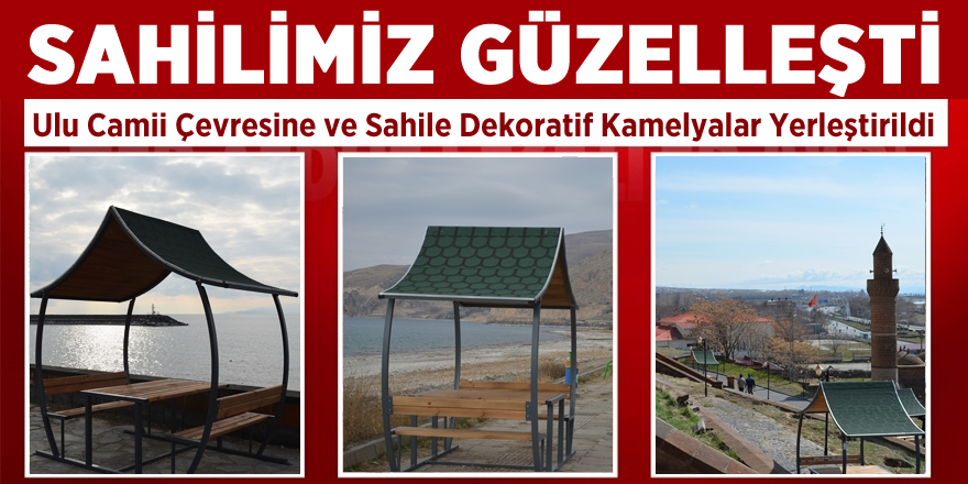 Ulu Camii Çevresine ve Sahile Dekoratif Kamelyalar Yerleştirildi