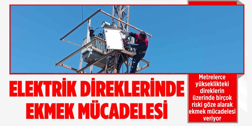 Elektrik Direklerinde Ekmek Mücadelesi