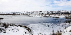 Ahlat'ta Bulunan Kuş Cenneti Dondu