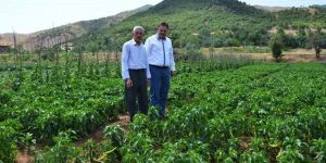 Bitlis’te "Yerli Tohum Projesi" Hayata Geçirildi