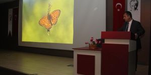 Türkiye’deki 420 Kelebek Türünden 230’u Van Gölü Havzasında