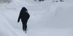 Bitlis'te Soğuk Hava Hayatı Felç Etti